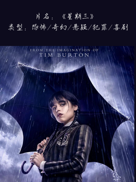 达人解密！意大利赛事奥秘解析，悬疑不断上演的简单介绍