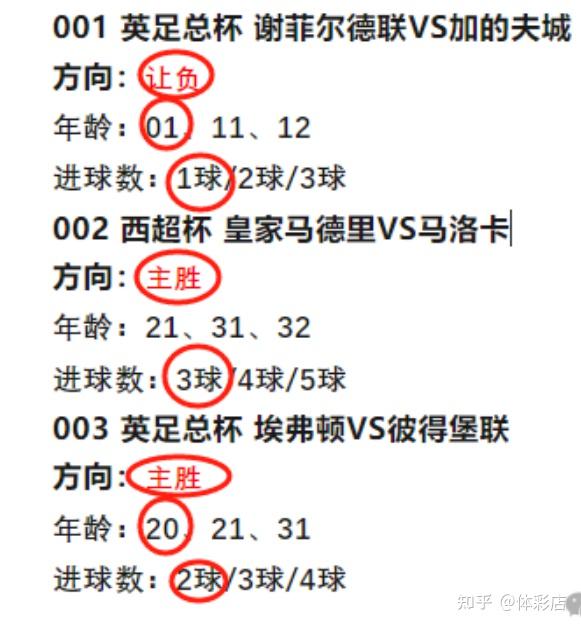 勒沃库森实力不可小觑，战绩持续攀升的简单介绍