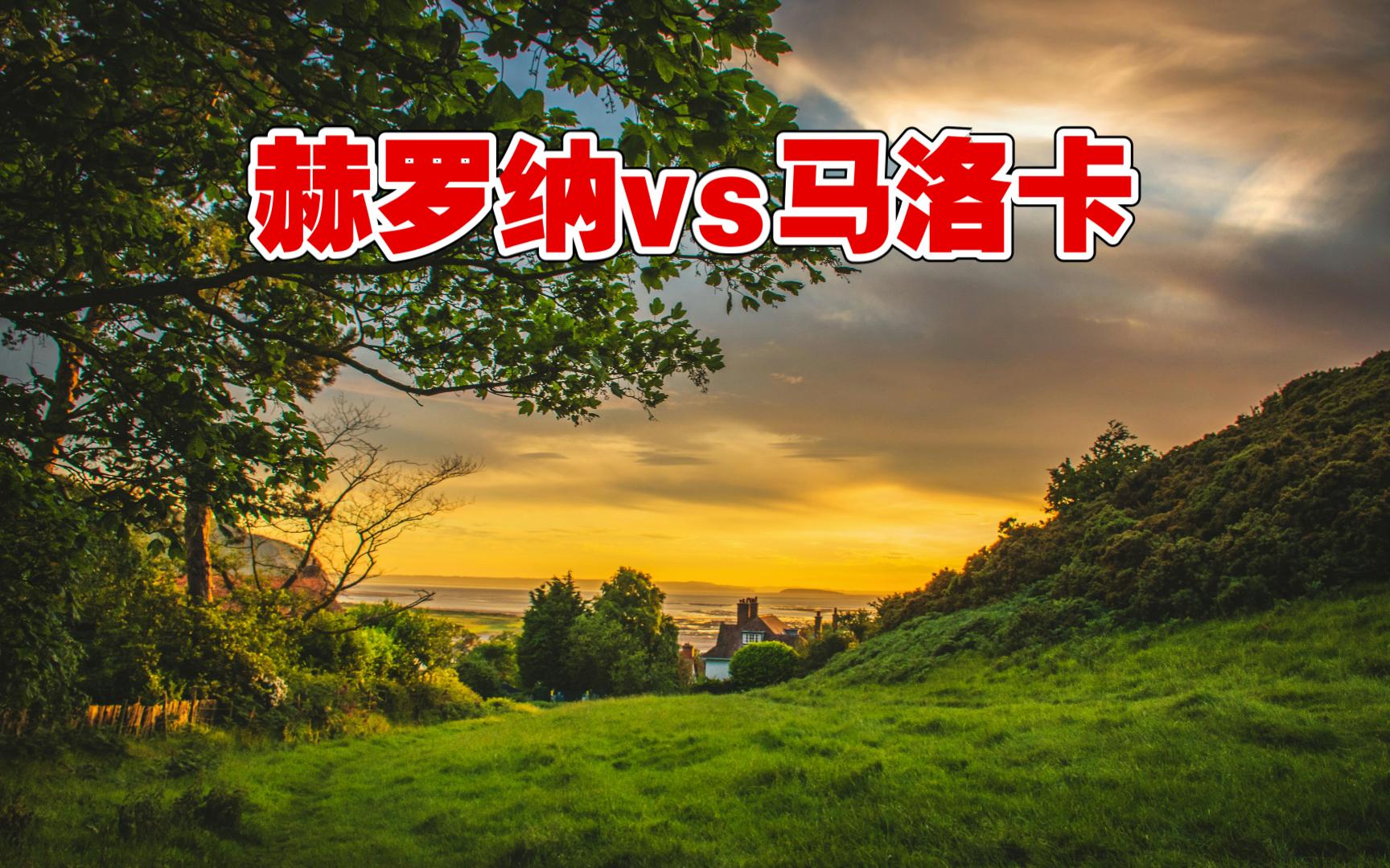 华体会app在线下载-马洛卡战胜赫罗纳，保级战略全面展开的简单介绍